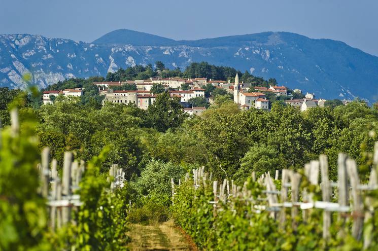 Karst and Istria: Culture, Nature & Gastronomy